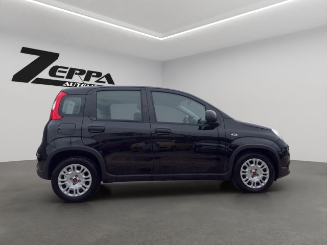 FIAT PANDA 1.0 FIREFLY S&S HYBRID - foto 7