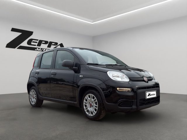 FIAT PANDA 1.0 FIREFLY S&S HYBRID - foto 8