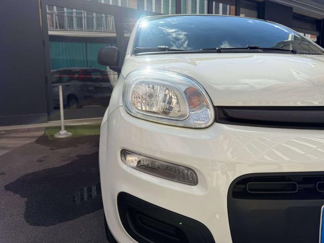 FIAT PANDA 1.2 EASYPOWER EASY - foto 17