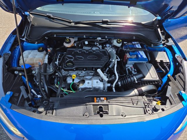 FORD FOCUS 1.5 ECOBLUE 120 CV AUT. 5P. BUSI - foto 22