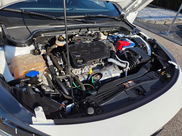 FORD FOCUS N1 1.5 ECOBLUE 120 CV SW BUSINES - foto 23
