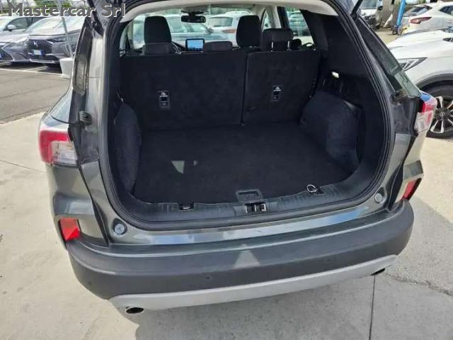 FORD KUGA 2.0 ECOBLUE MHEV TITANIUM BUS 2W - foto 15