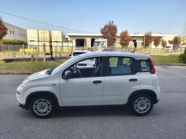 FIAT PANDA 1.0 HYBRID CITY LIFE NEOPATENTAT - foto 6