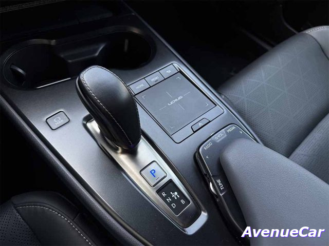 LEXUS UX FULL ELECTRIC 300E 54,3KWH PREMIUM PREZZO REAL - foto 17