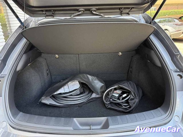 LEXUS UX FULL ELECTRIC 300E 54,3KWH PREMIUM PREZZO REAL - foto 31