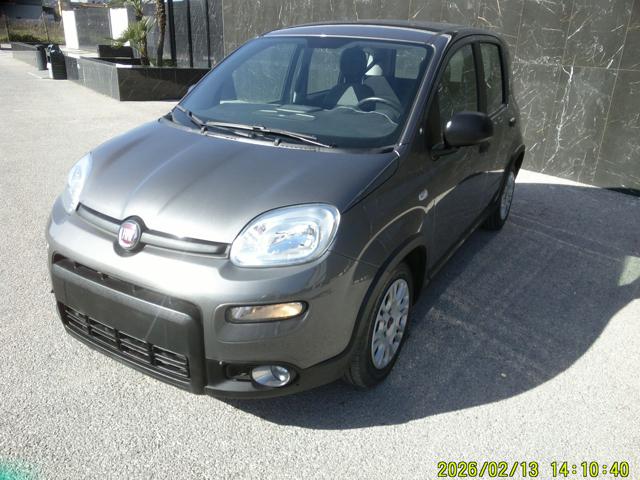 FIAT PANDA 1.0 FIREFLY S&S HYBRID - foto 12