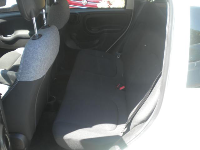 FIAT PANDA 1.0 FIREFLY S&S HYBRID GPL - foto 11
