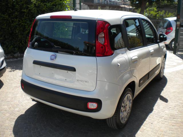 FIAT PANDA 1.0 FIREFLY S&S HYBRID GPL - foto 15