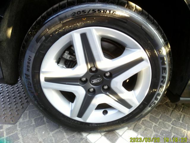 FORD FOCUS 1.5 ECOBLUE 120 CV SW BUSINESS - foto 14