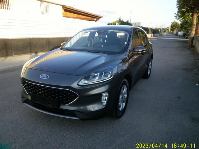 FORD KUGA 1.5 ECOBLUE 120 CV AUT. 2WD TITA - foto 13