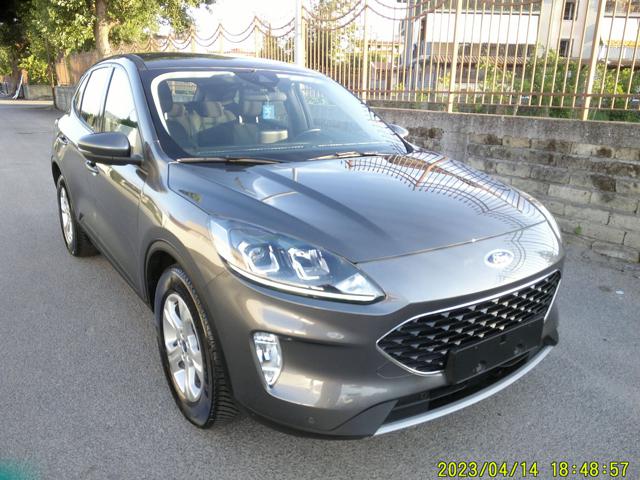 FORD KUGA 1.5 ECOBLUE 120 CV AUT. 2WD TITA - foto 11