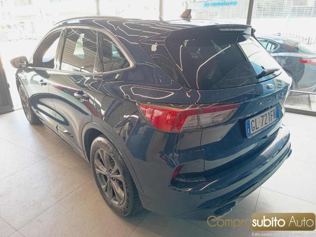 FORD KUGA 1.5 ECOBLUE 120 CV 2WD TITANIUM  - foto 7