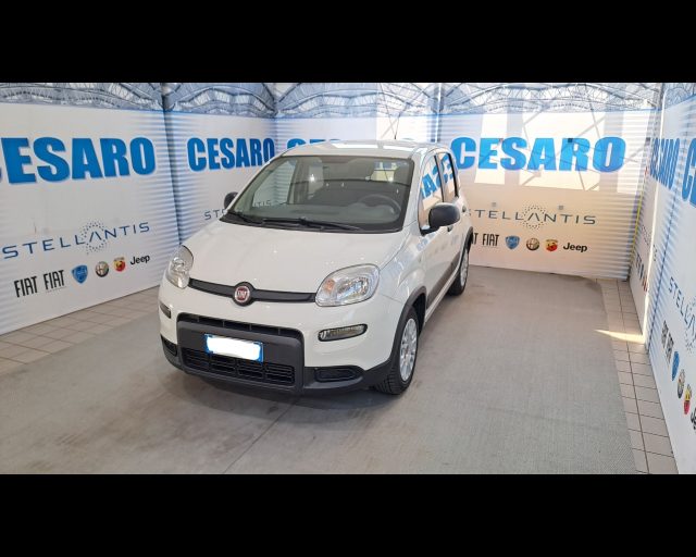 FIAT NEW PANDA VAN 1.0 HYBRID 70CV 4P.TI-DETAX - foto 2
