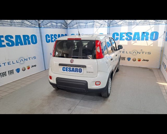 FIAT NEW PANDA VAN 1.0 HYBRID 70CV 4P.TI-DETAX - foto 3