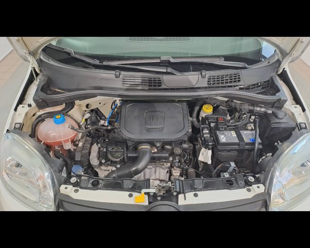 FIAT NEW PANDA 1.0 HYBRID 70CV 5 POSTI - foto 22
