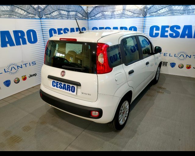 FIAT NEW PANDA 1.0 HYBRID 70CV 5 POSTI - foto 3