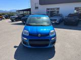 VENDO Auto a Alife – foto 1