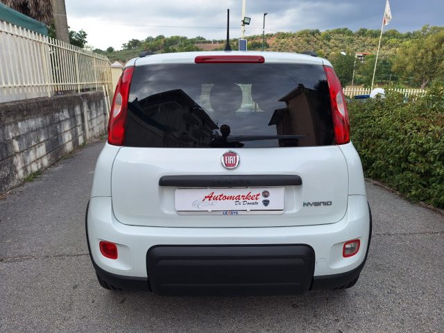 FIAT PANDA 1.0 FIREFLY S&S HYBRID - foto 9