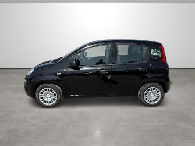FIAT PANDINA 1.0 FIREFLY 65 CV HYBRID ICON - foto 8
