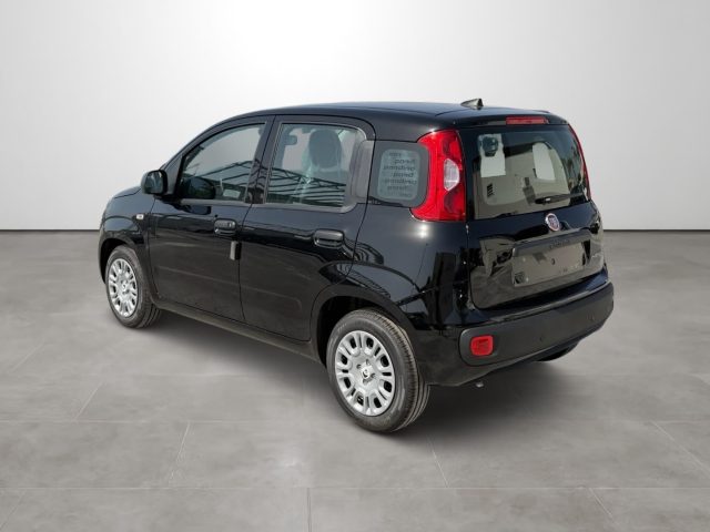 FIAT PANDINA 1.0 FIREFLY 65 CV HYBRID ICON - foto 6
