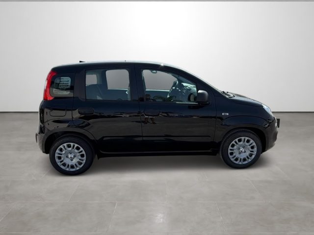 FIAT PANDINA 1.0 FIREFLY 65 CV HYBRID ICON - foto 7
