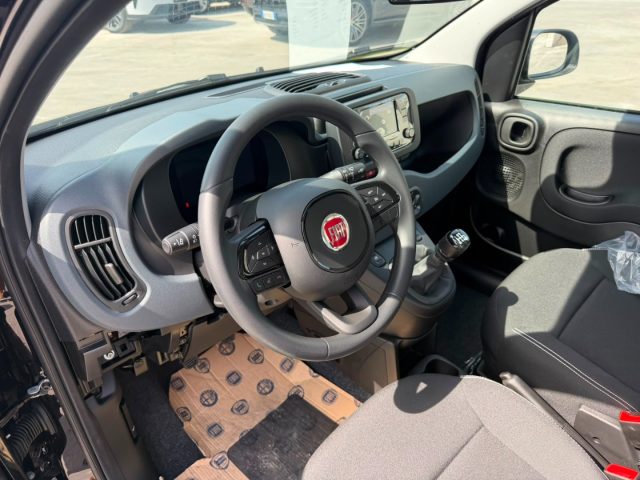 FIAT PANDINA 1.0 FIREFLY 65 CV HYBRID ICON - foto 11