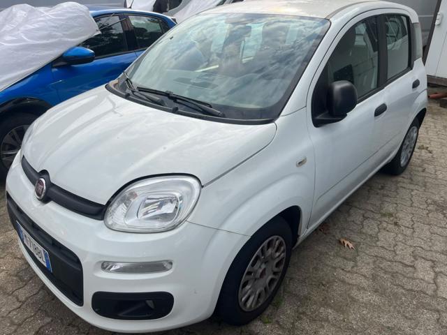 FIAT PANDA 1.3 MJT 80 CV S&S EASY - foto 2