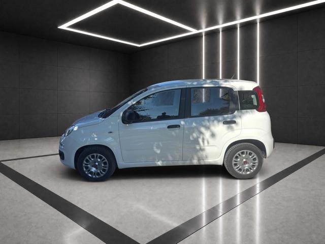 FIAT PANDA 1.2 EASY PREZZO REALE !!! - foto 6