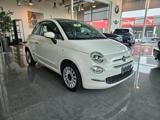 VENDO Auto a Saronno – foto 1