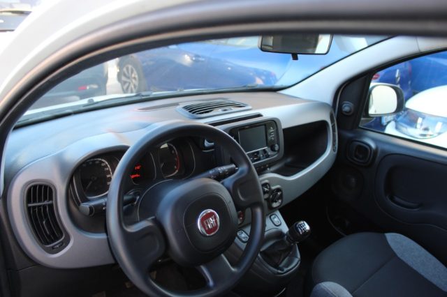FIAT PANDA 1.0 FIREFLY S&S HYBRID CITY LIFE - foto 7