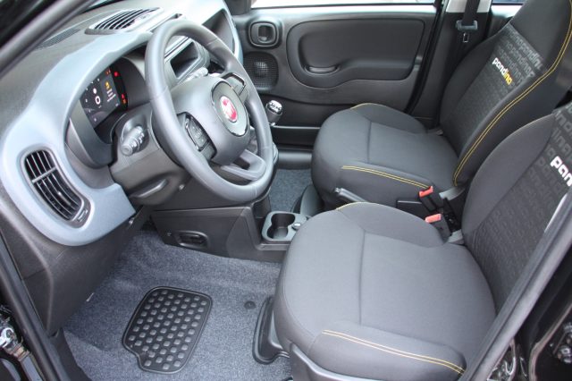 FIAT PANDA PANDINA POP 1.0 FIREFLY S&S HYBR - foto 9