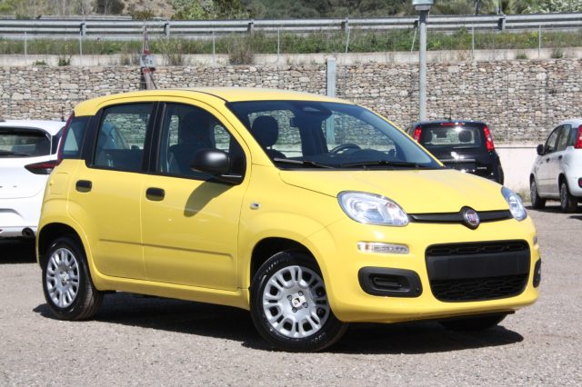 FIAT PANDA PANDINA POP 1.0 FIREFLY S&S HYBR - foto 8