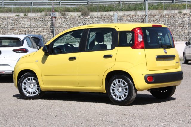 FIAT PANDA PANDINA POP 1.0 FIREFLY S&S HYBR - foto 6