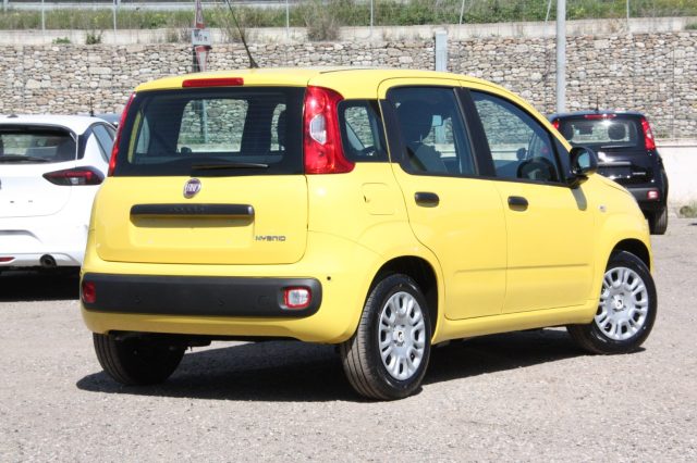 FIAT PANDA PANDINA POP 1.0 FIREFLY S&S HYBR - foto 7