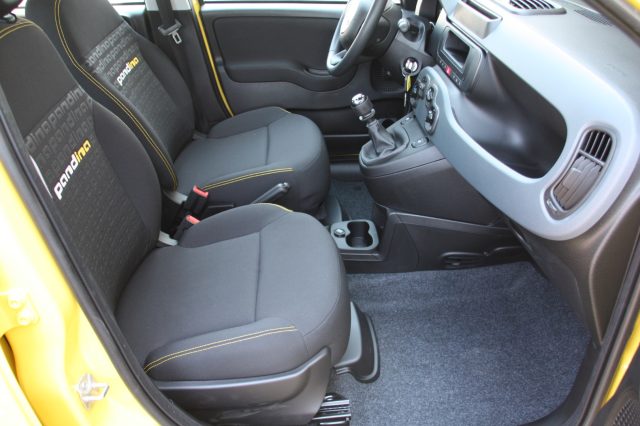 FIAT PANDA PANDINA POP 1.0 FIREFLY S&S HYBR - foto 11