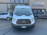 VENDO Veicoli commerciali a Bologna – foto 1