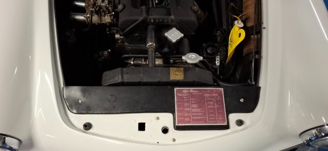 ALFA ROMEO 2000 SPIDER TOURING**ITALIANA DA SEMP - foto 11