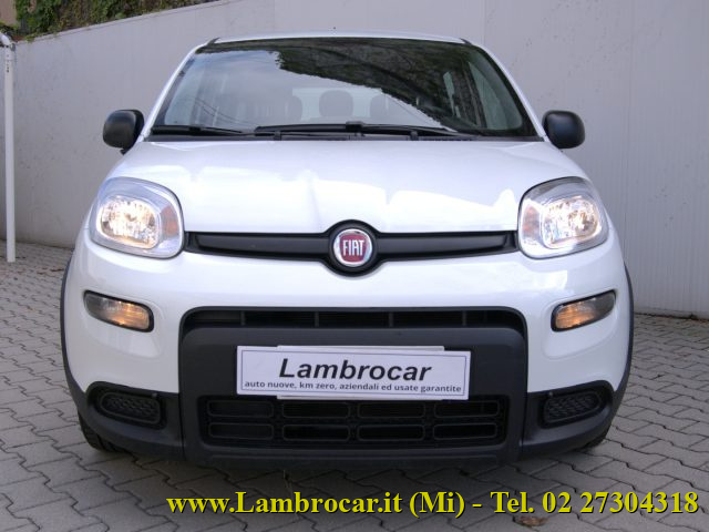 FIAT PANDA 1.0 FIREFLY S&S HYBRID 70CV - foto 12