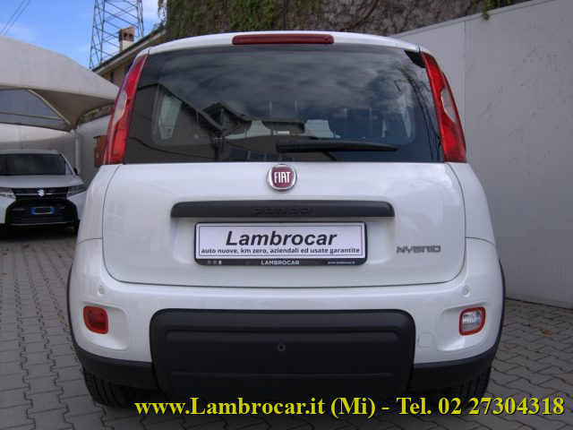 FIAT PANDA 1.0 FIREFLY S&S HYBRID 70CV - foto 13