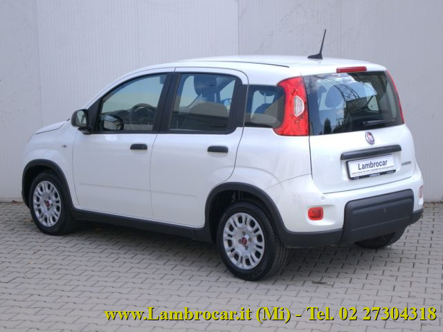FIAT PANDA 1.0 FIREFLY S&S HYBRID 70CV - foto 14