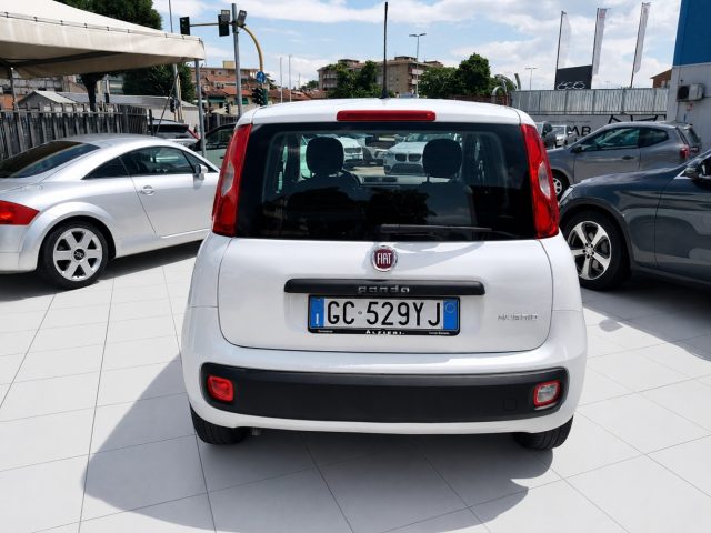 FIAT PANDA HYBRID 1.0 S&S 69 CV NEO PATENTA - foto 6