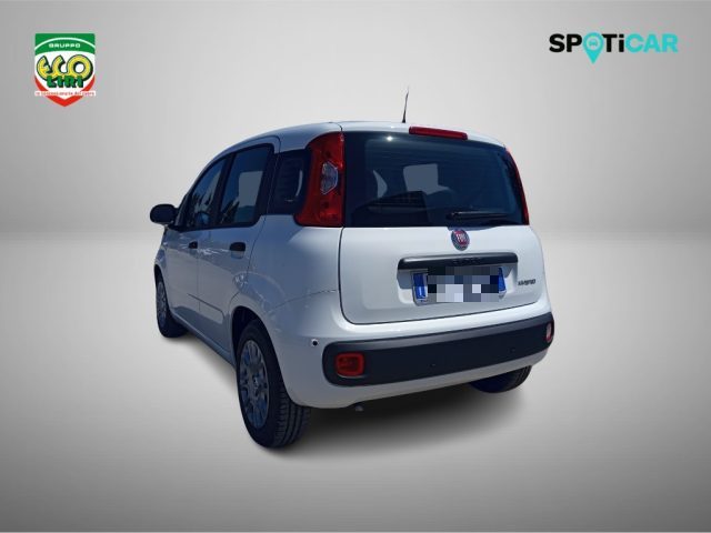 FIAT PANDINA 1.0 65 CV HYBRID ICON+GPL - foto 7