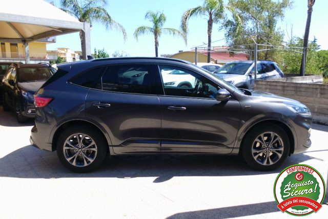 FORD KUGA 1.5 ECOBLUE 120 CV 2WD ST-LINE - foto 8