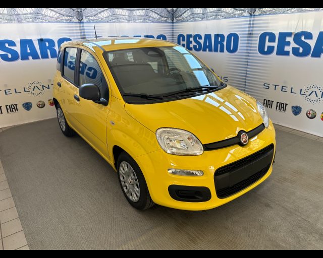 FIAT PANDINA 1.0 FIREFLY HYBRID ICON S&S 65CV
