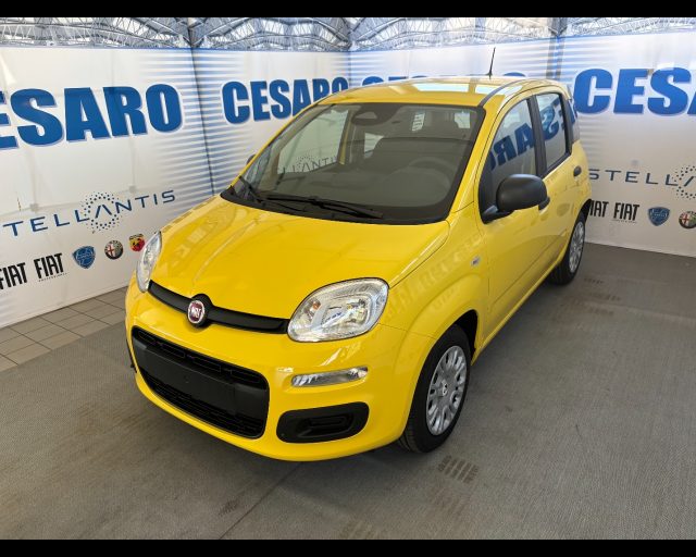 FIAT PANDINA 1.0 FIREFLY HYBRID ICON S&S 65CV - foto 2