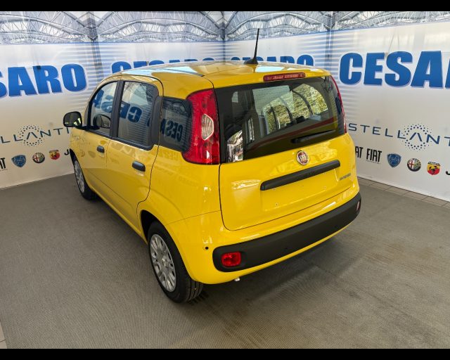 FIAT PANDINA 1.0 FIREFLY HYBRID ICON S&S 65CV - foto 4