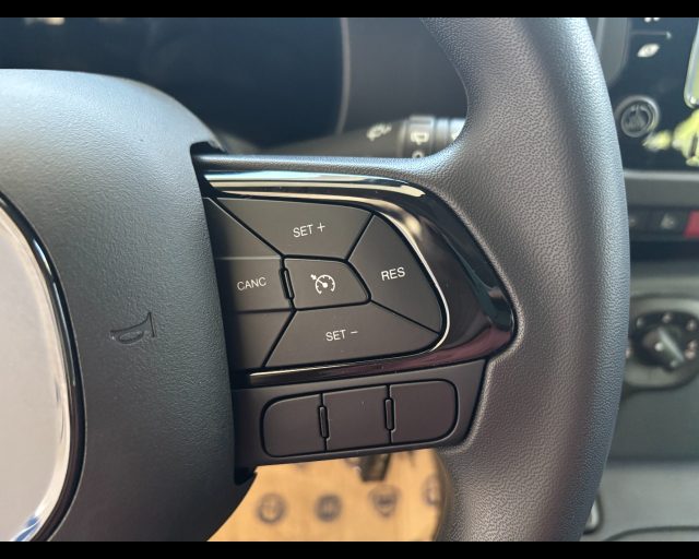 FIAT PANDINA 1.0 FIREFLY HYBRID ICON S&S 65CV - foto 14
