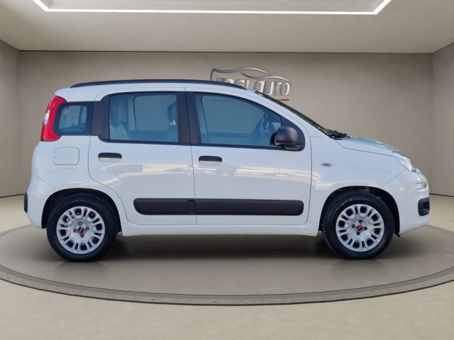 FIAT PANDA 1.2 EASY - foto 6