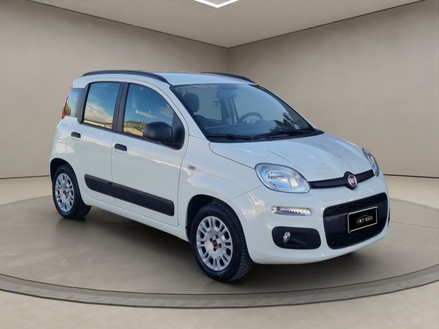 FIAT PANDA 1.2 EASY - foto 7