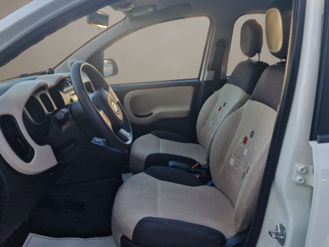 FIAT PANDA 1.2 EASY - foto 9